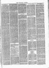 Tavistock Gazette Thursday 29 March 1877 Page 3