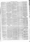 Tavistock Gazette Friday 27 April 1877 Page 3