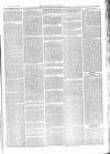 Tavistock Gazette Friday 27 April 1877 Page 7