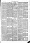 Tavistock Gazette Friday 04 January 1878 Page 3