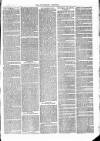Tavistock Gazette Friday 01 March 1878 Page 3