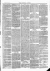 Tavistock Gazette Friday 05 July 1878 Page 3
