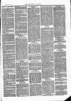 Tavistock Gazette Friday 26 July 1878 Page 7