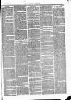 Tavistock Gazette Friday 27 December 1878 Page 7