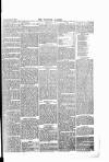 Tavistock Gazette Friday 07 March 1879 Page 5