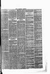 Tavistock Gazette Friday 04 April 1879 Page 3