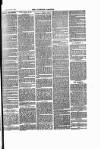 Tavistock Gazette Friday 01 August 1879 Page 7