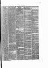 Tavistock Gazette Friday 15 August 1879 Page 3