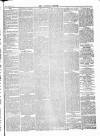 Tavistock Gazette Friday 08 October 1880 Page 5