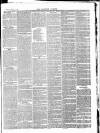 Tavistock Gazette Friday 22 October 1880 Page 7