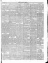 Tavistock Gazette Friday 04 March 1881 Page 5