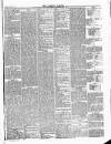 Tavistock Gazette Friday 12 August 1881 Page 5