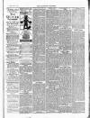 Tavistock Gazette Friday 04 December 1885 Page 3