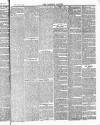 Tavistock Gazette Friday 05 February 1886 Page 3