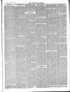 Tavistock Gazette Friday 19 March 1886 Page 3