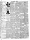 Tavistock Gazette Friday 16 July 1886 Page 7