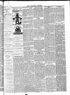 Tavistock Gazette Friday 03 September 1886 Page 7