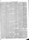 Tavistock Gazette Friday 25 March 1887 Page 3