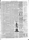 Tavistock Gazette Friday 03 June 1887 Page 3