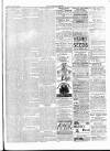 Tavistock Gazette Friday 20 January 1888 Page 3