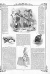 Pictorial Times Saturday 13 May 1843 Page 13