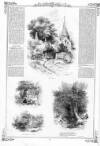 Pictorial Times Saturday 20 January 1844 Page 12