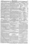 Argus, or, Broad-sheet of the Empire Sunday 03 February 1839 Page 15