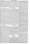 Argus, or, Broad-sheet of the Empire Sunday 27 October 1839 Page 11