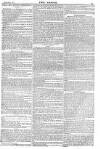 Argus, or, Broad-sheet of the Empire Sunday 17 January 1841 Page 5