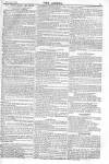 Argus, or, Broad-sheet of the Empire Sunday 24 January 1841 Page 5