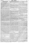 Argus, or, Broad-sheet of the Empire Sunday 31 January 1841 Page 5