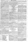 Argus, or, Broad-sheet of the Empire Sunday 21 February 1841 Page 13