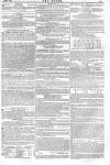 Argus, or, Broad-sheet of the Empire Sunday 28 February 1841 Page 15