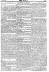 Argus, or, Broad-sheet of the Empire Sunday 07 March 1841 Page 13