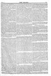Argus, or, Broad-sheet of the Empire Saturday 01 January 1842 Page 11
