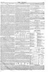 Argus, or, Broad-sheet of the Empire Saturday 01 January 1842 Page 15