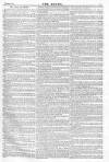 Argus, or, Broad-sheet of the Empire Saturday 05 March 1842 Page 7