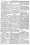 Argus, or, Broad-sheet of the Empire Saturday 26 March 1842 Page 11