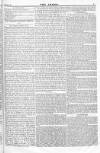 Argus, or, Broad-sheet of the Empire Saturday 04 June 1842 Page 5