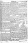 Argus, or, Broad-sheet of the Empire Saturday 04 June 1842 Page 11