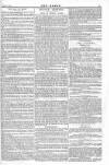 Argus, or, Broad-sheet of the Empire Saturday 18 June 1842 Page 15