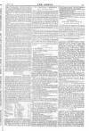 Argus, or, Broad-sheet of the Empire Saturday 10 September 1842 Page 11