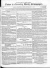 Town & Country Daily Newspaper Thursday 18 September 1873 Page 1