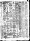 Airdrie & Coatbridge Advertiser Saturday 18 May 1878 Page 3