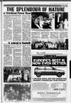 Airdrie & Coatbridge Advertiser Friday 04 October 1985 Page 19