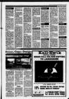 Airdrie & Coatbridge Advertiser Friday 03 February 1989 Page 15