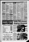 Airdrie & Coatbridge Advertiser Friday 21 July 1989 Page 17