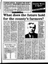 Enniscorthy Guardian Friday 14 March 1986 Page 23