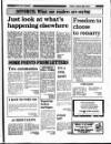 Enniscorthy Guardian Friday 20 June 1986 Page 29