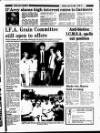 Enniscorthy Guardian Friday 25 July 1986 Page 19